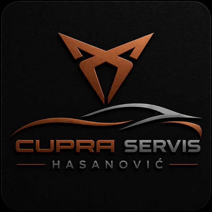 Cupra Hasanovic Domzale